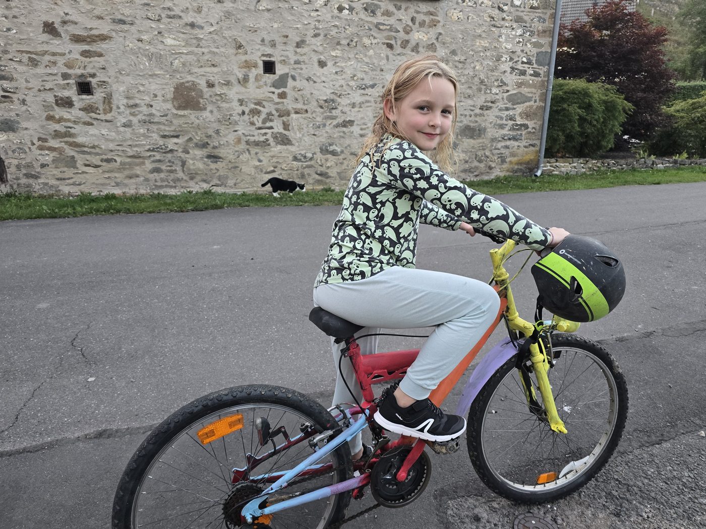 Feline auf ihrem Fahrrad